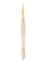 054628 Elite Models Professional Tweezers Gold Tipped Ounce 3700206712024
