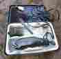 3056 Cmco Wahl Hair Trimming Kit Clipper Set Pets People Plastic Case Combs Scissors Oil