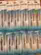 0716037 52900 Basset Brands Lot Of 48 Trim Slant Tip Tweezers 071603529007
