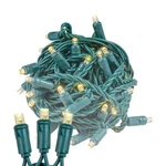 50 Led Christmas Mini Set, Patio Lights, Warm White, Green Wire, 25. Fixed Price $441.80.