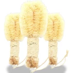 Earth Therapeutics Natural Wood Body Brush Exfoliating 1 Ct 3 Pack. Fixed Price $36.99.
