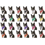24 Pack Cotton Paisley Dog Bandanas Bulk Set For Groomers Shelters Parties. Fixed Price $26.99.