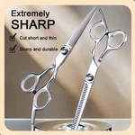 2PCS Pro Hair Cutting Scissors Set - Thinning Shears Barber Salon & Home Use. Fixed Price $9.99.