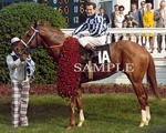 1973 Secretariat Ron Turcotte Up The Kentucky Derby 5X7 Bordephoto ( 164-O-). Fixed Price $7.97.